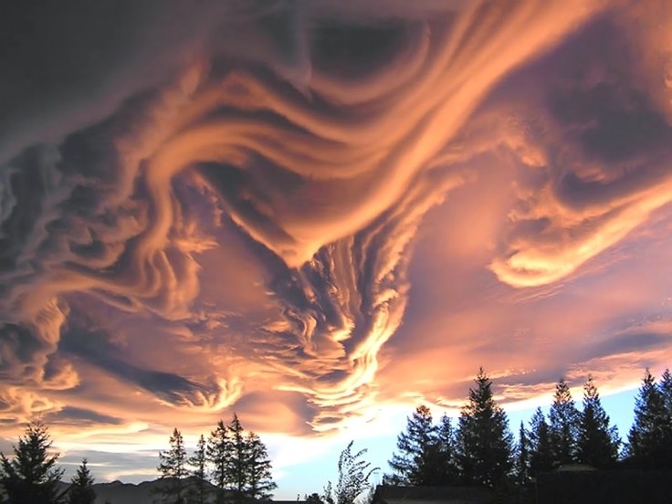 "Asperatus Clouds Over New Zealand" by Witta Priester