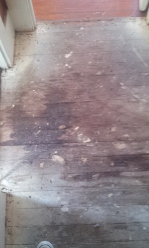 floor1