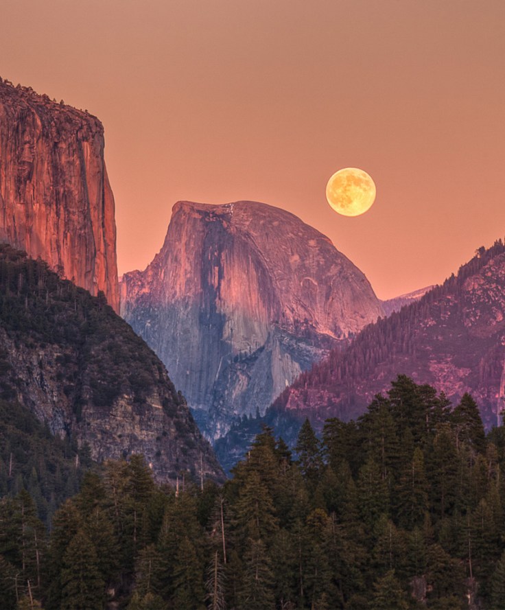 Join Me In Yosemite by Jeffrey Sullivan