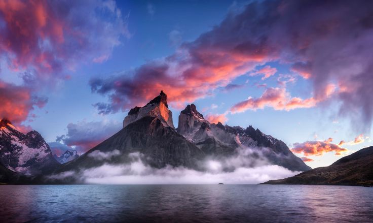 Enter The Dragon by Timothy Poulton