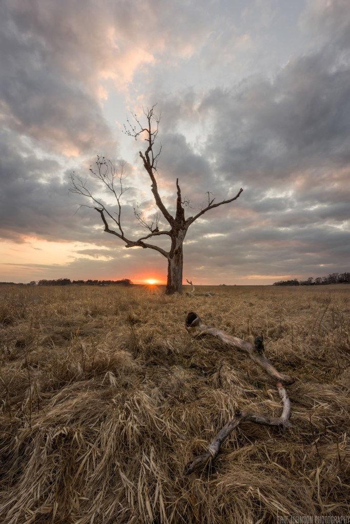 The Great Demise by Erik Johnson