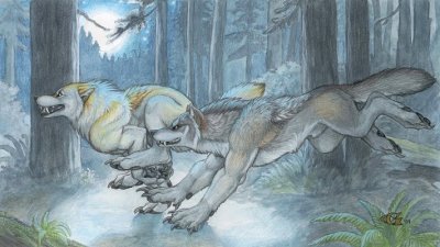 First Run by Christy Grandjean.