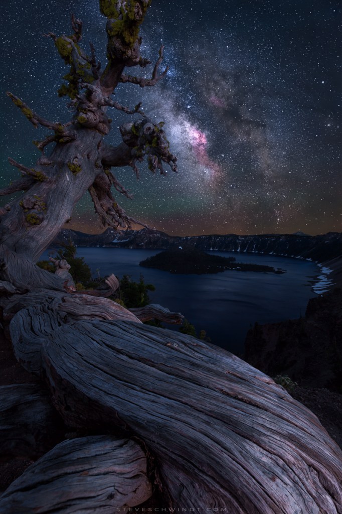 'Ancient Tree Overlooking Crater Lake' by Steve Schwindt