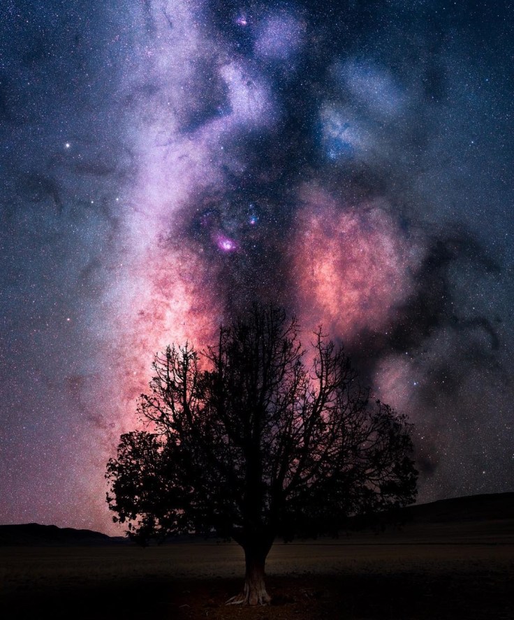 Alvord Desert by Derek Culver