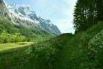 Path Through the Meadow of Val Ferret by Unknown