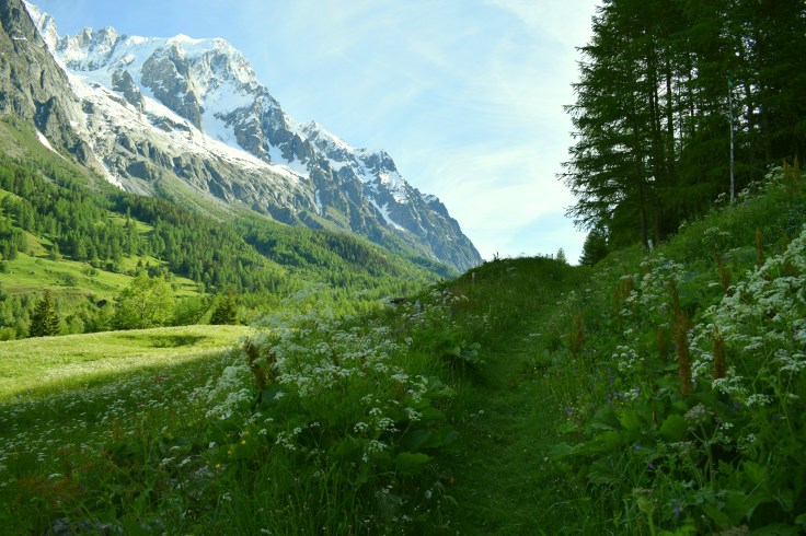 Path Through the Meadow of Val Ferret by Unknown