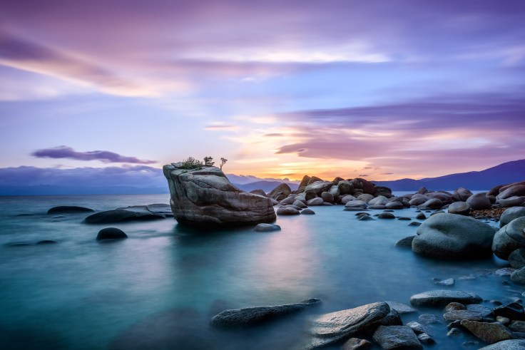 The Bonsai Tree of Lake Tahoe, by Kevin Boutwell